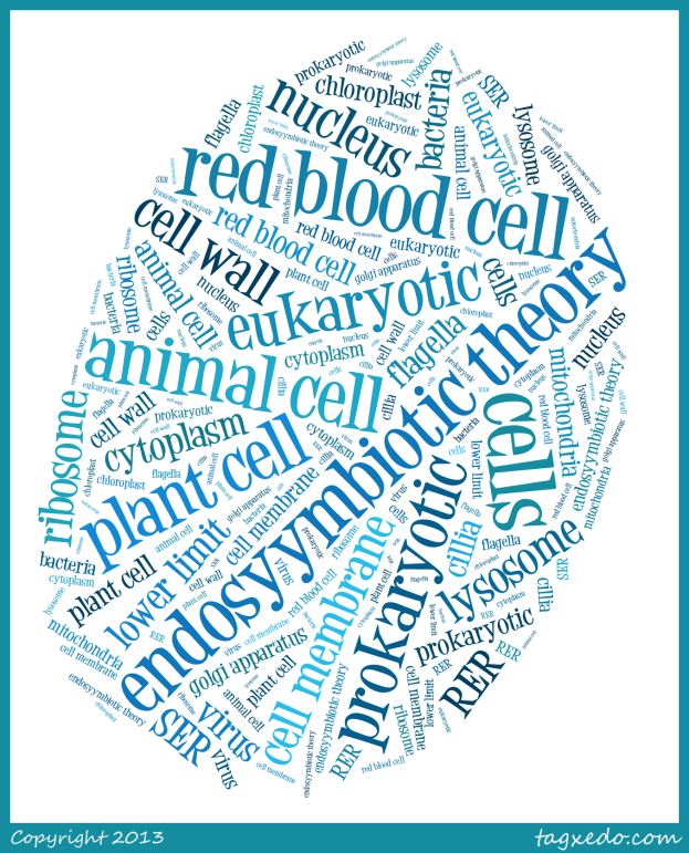 Cells Wordle